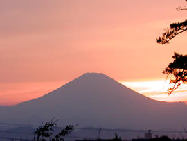 Mt.Fuji