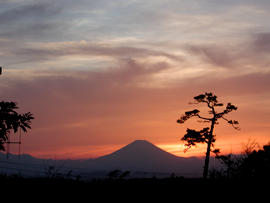 Mt.Fuji